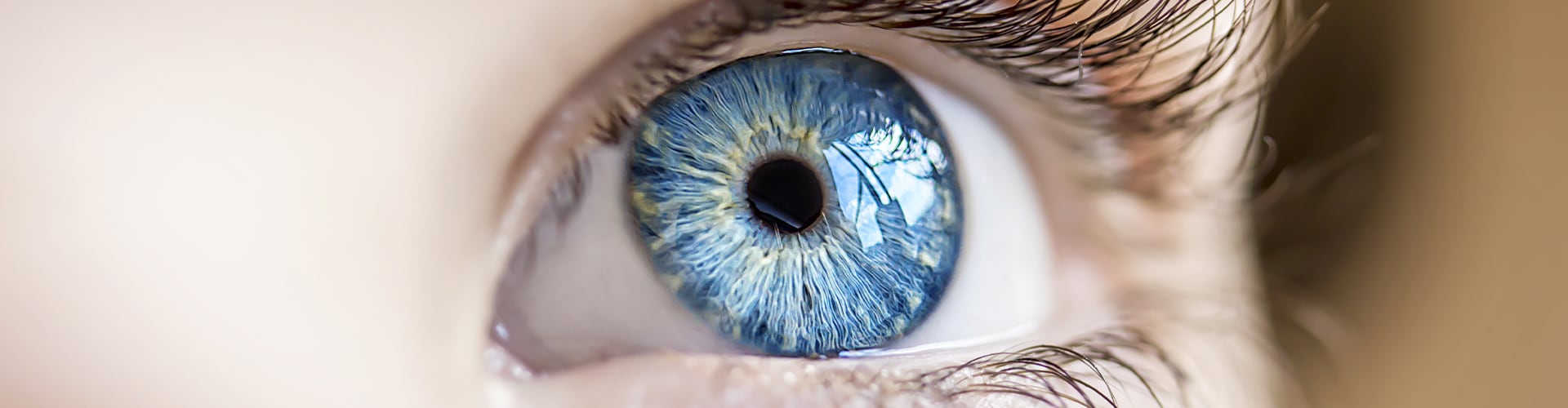 a childs eye close up